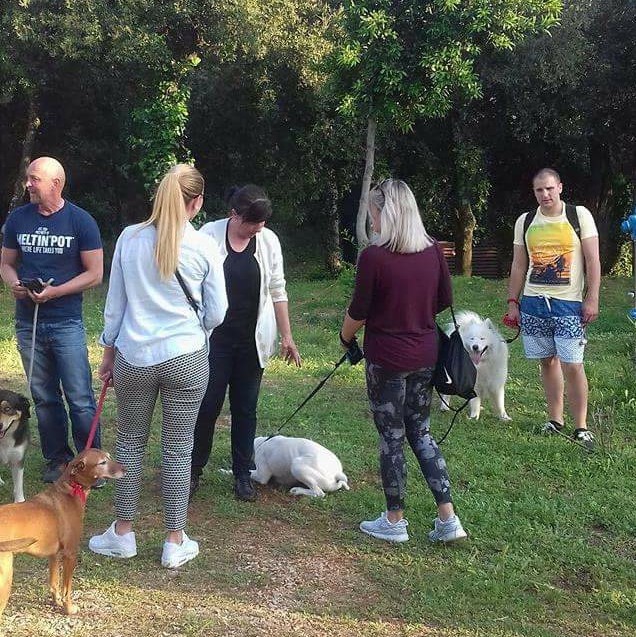 PONOVNI POKUŠAJ ODVOĐENJA PASA IZ DUBROVNIKA u Split! (FOTO)