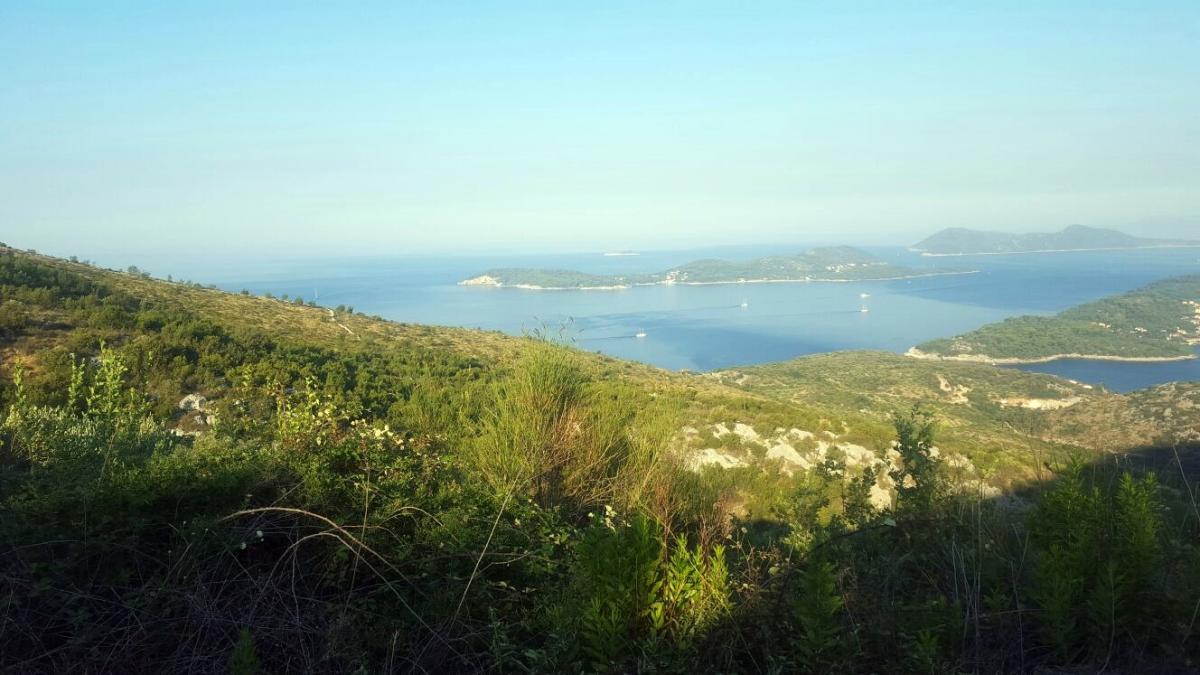 GRADONAČELNIK OBIŠAO POTENCIJALNU LOKACIJU za novi azil za životinje (FOTO)